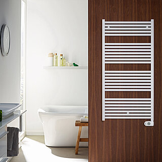 Rendering Zehnder Zeno Decorative radiator