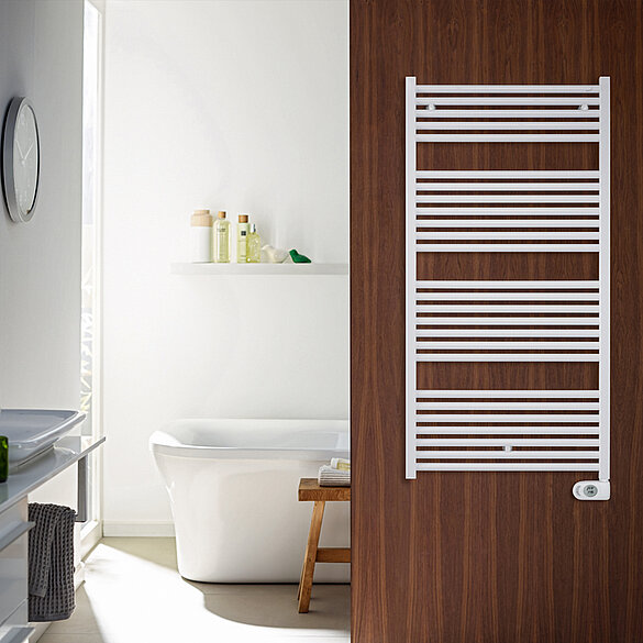 Rendering Zehnder Zeno Decorative radiator 