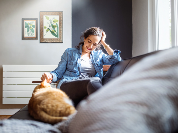 chat et femmes dans le salon 